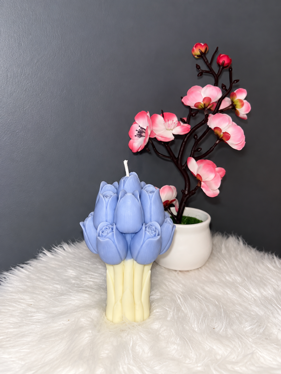 Tulipe