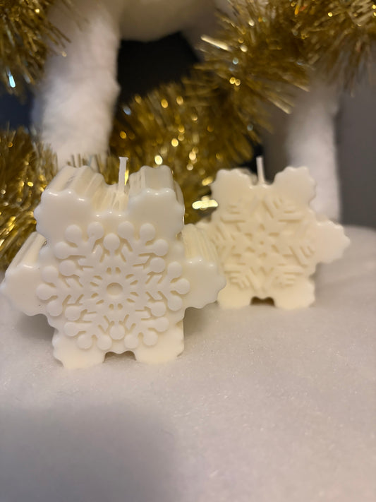 Flocon de Neige