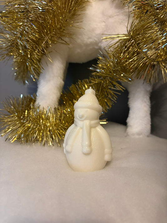 Bonhomme de Neige